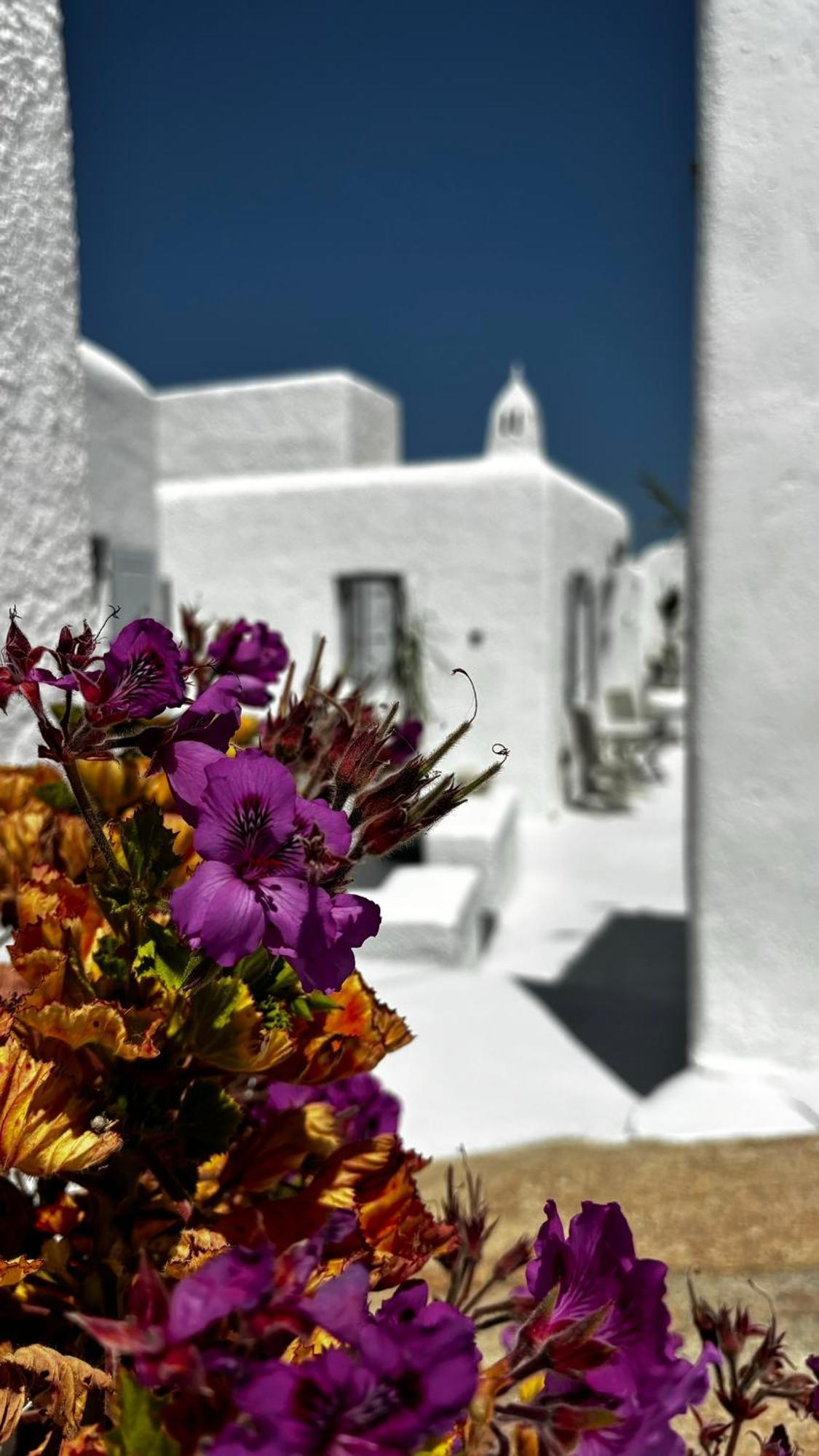 ホテル Vougli View Mykonos Drafaki エクステリア 写真