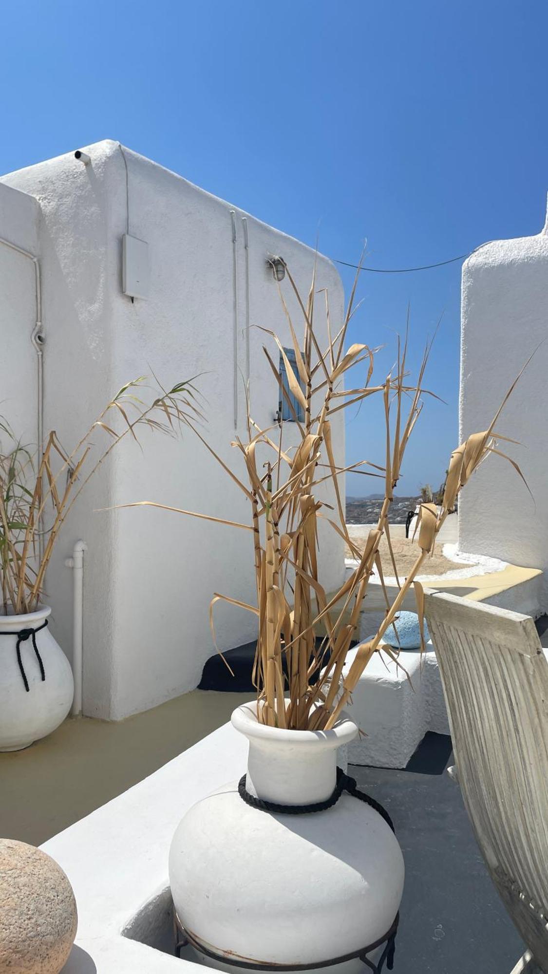 ホテル Vougli View Mykonos Drafaki エクステリア 写真